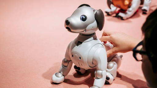 Robotic pets speed recovery in dementia patients