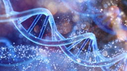 AI knowledge graph links heart imaging to genes and therapies