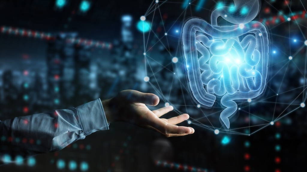 Onderzoek: AI kan darmkanker diagnose versnellen en verbeteren