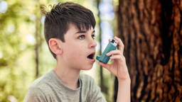 AI-dashboard PREVENT voorspelt astma-aanvallen bij kinderen