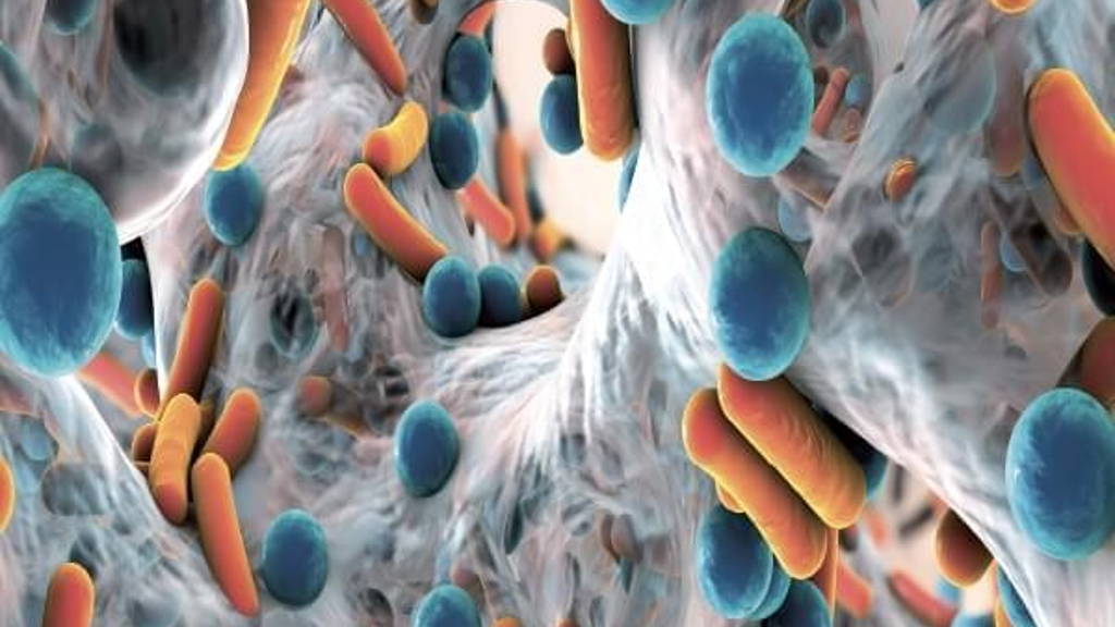 ‘Nederland kan gidsland worden bij ABR’