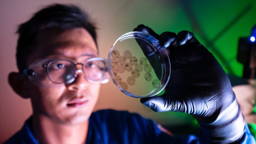 Lichtgestuurde biohybride interface stuurt hartweefsel aan