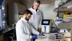 ‘Liver-on-a-chip’ innovatie verbetert voorspelling levertoxiciteit