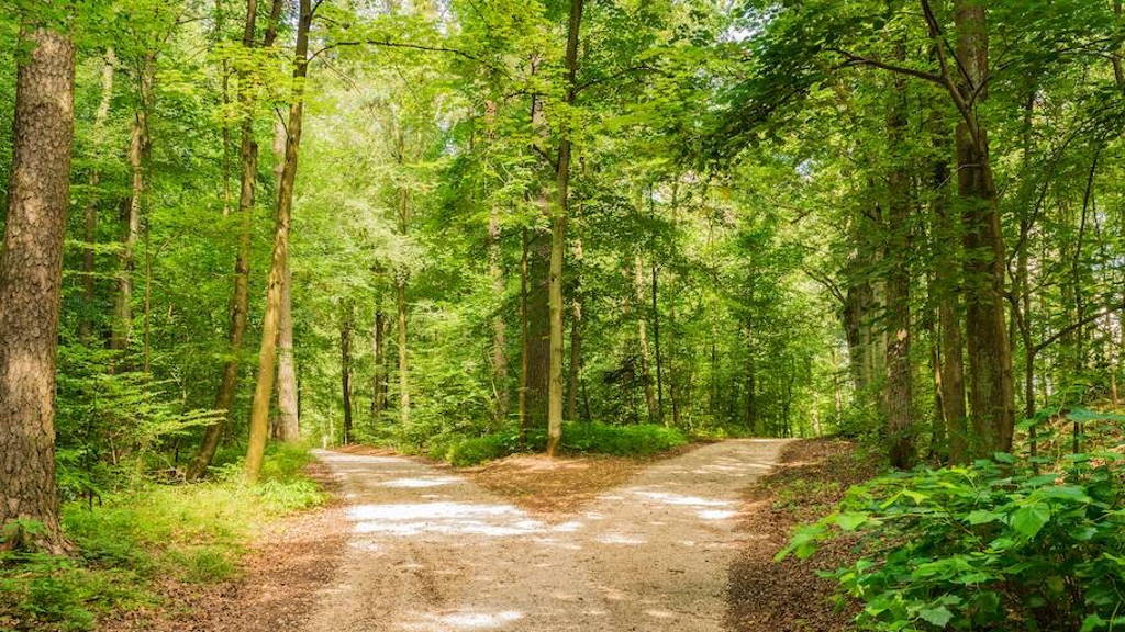 Driewerf hoera voor het digitale zorgpad