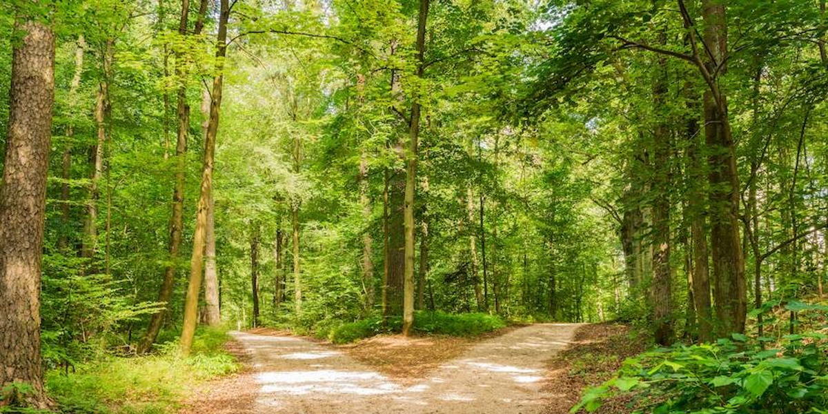 Driewerf hoera voor het digitale zorgpad