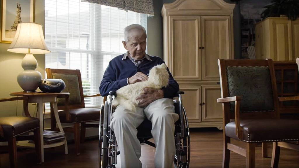 Social-robots-Salland