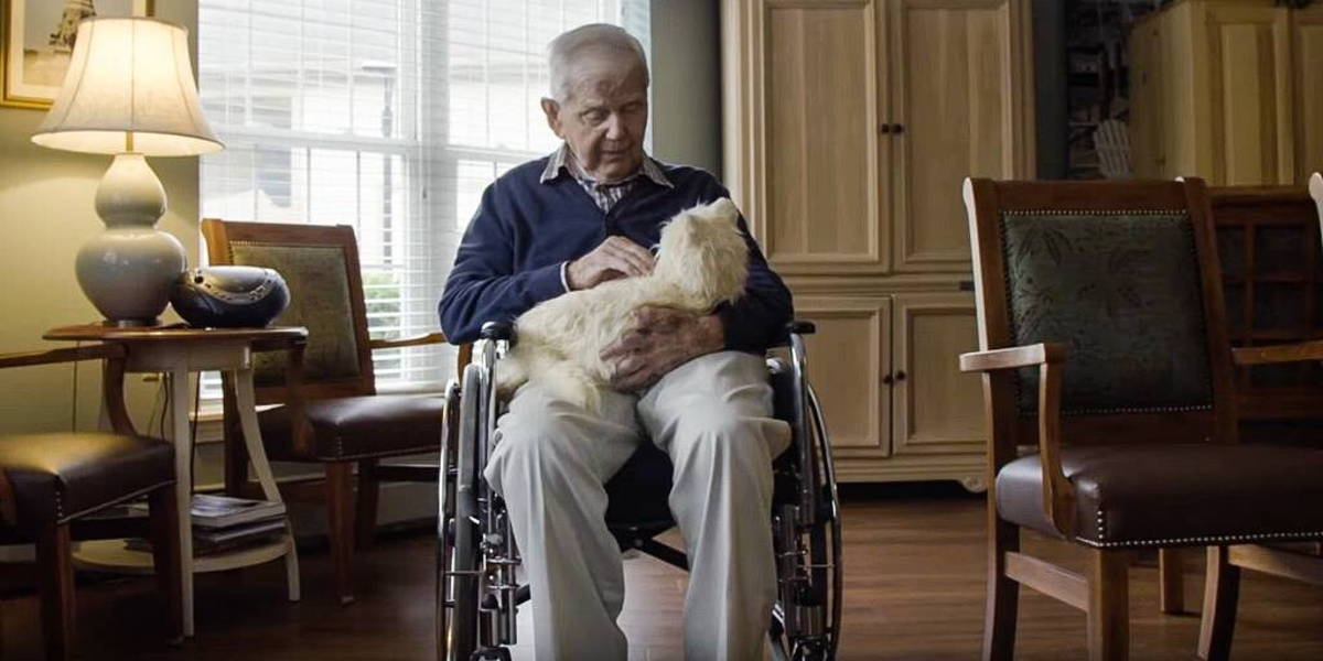 Social-robots-Salland