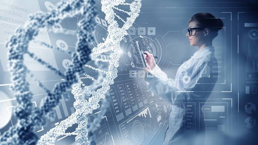 Onderzoekers onthullen dynamische 3D-structuur van het genoom