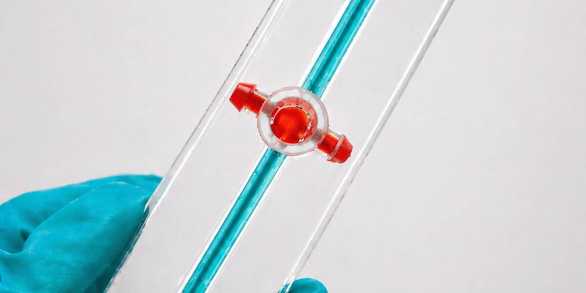 ‘Tumor-op-een-chip’ geeft nieuw inzicht in glioblastoom