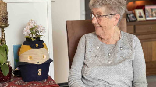 Ingrediënten voor een protocol bij inzet van zorgrobots