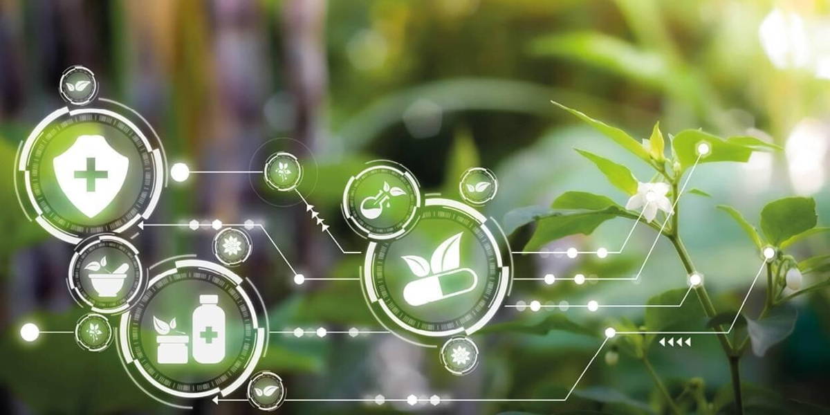 De klimaatcrisis schreeuwt om digitalisering