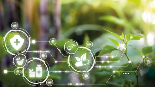 De klimaatcrisis schreeuwt om digitalisering