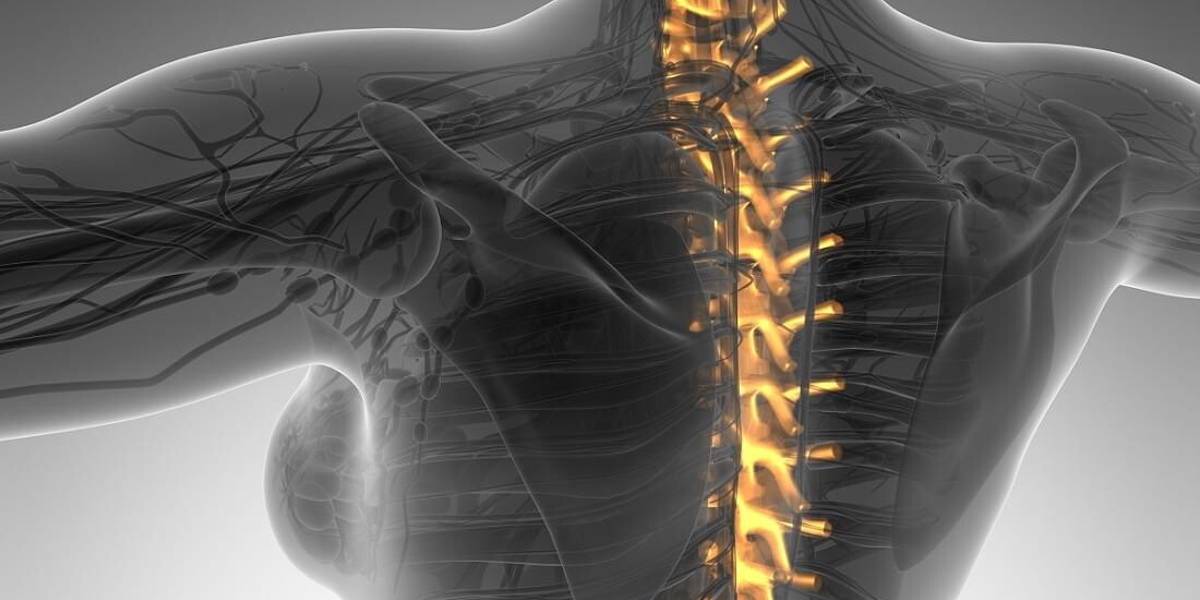 Human backache and back pain with an upper torso body skeleton s