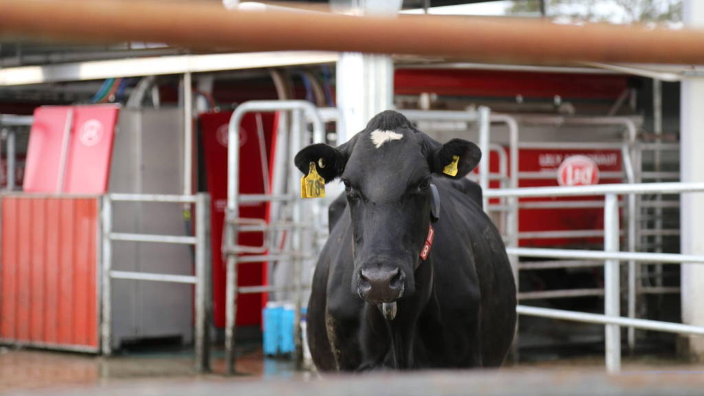 Lely-Melkrobot-scaled