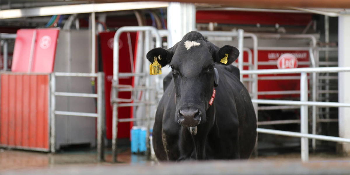 Lely-Melkrobot-scaled