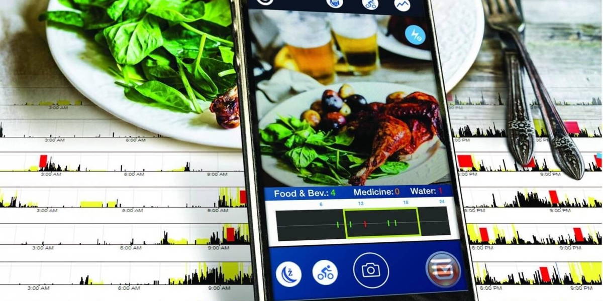 MyCircaidianclockLandscape2