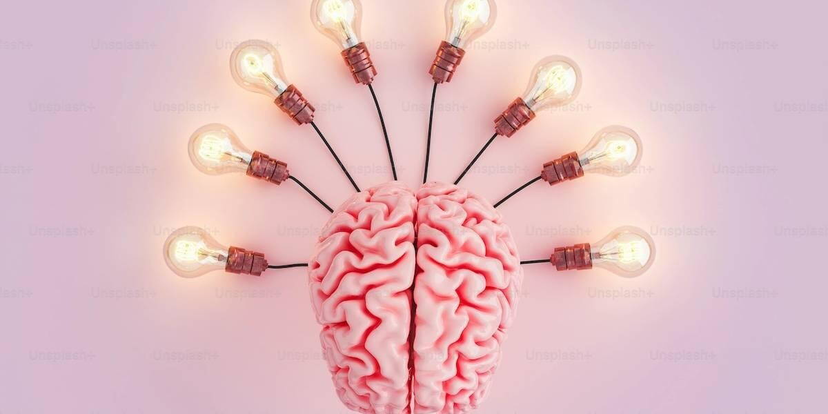 Hersenonderzek punt nl