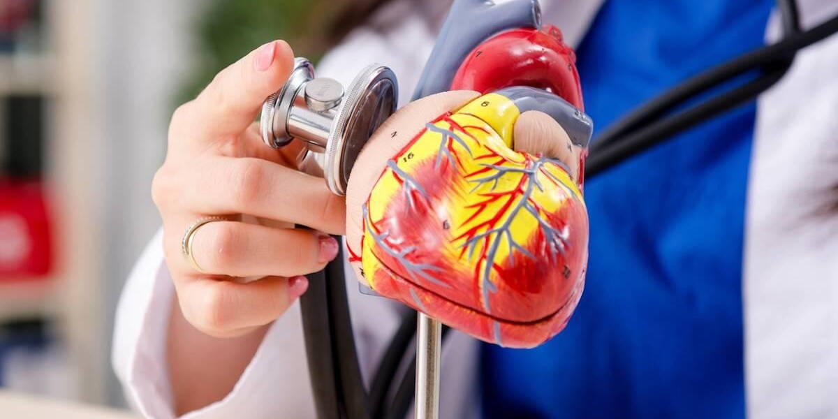 Female doctor cardiologist working in the clinic