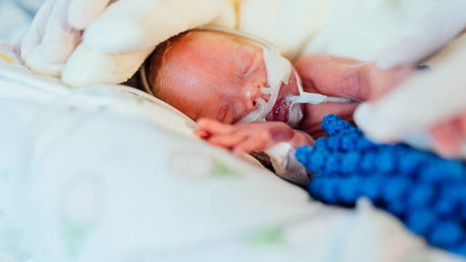 Gekweekt hersenmodel biedt hoop voor premature baby’s