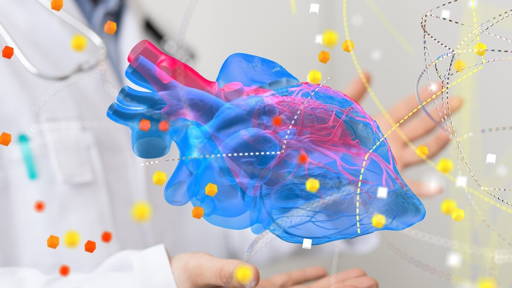 Betere behandeling hartfalen dankzij 4D-hartmodel