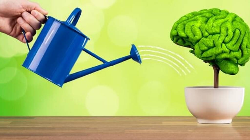 Zorg is kansrijk exportproduct