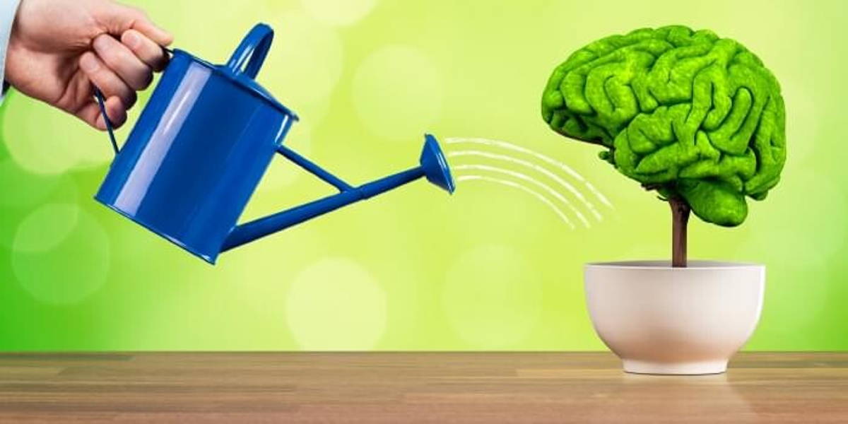 Zorg is kansrijk exportproduct