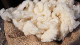 Wol als basis voor sterker en duurzamer botherstel