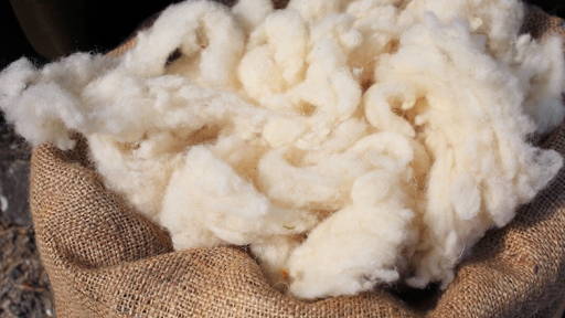 Wol als basis voor sterker en duurzamer botherstel