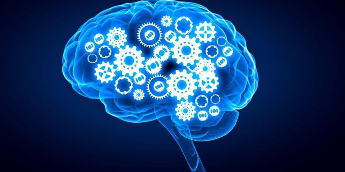 Mechanism inside human brain