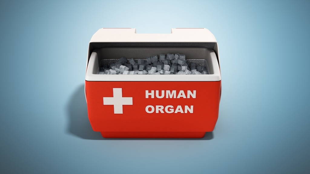 Antifreeze proteins bring longer donor organ preservation within reach