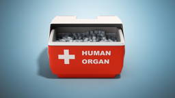 Antifreeze proteins bring longer donor organ preservation within reach