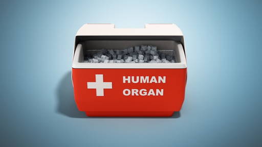 Antifreeze proteins bring longer donor organ preservation within reach