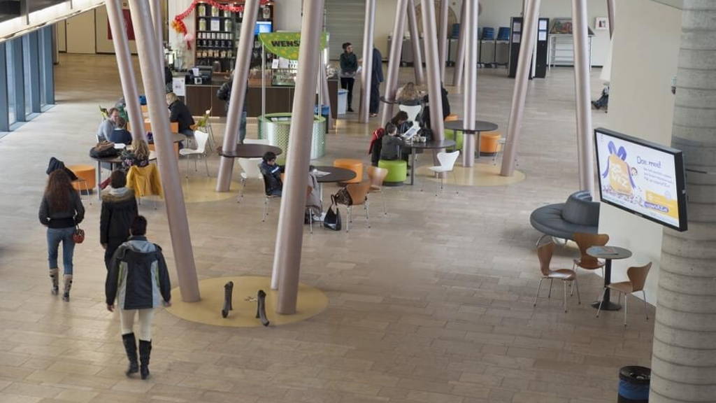 Pharos-onderzoek biedt ziekenhuizen inzichten. Hoe wordt patiëntportaal toegankelijk en begrijpelijk voor iedereen