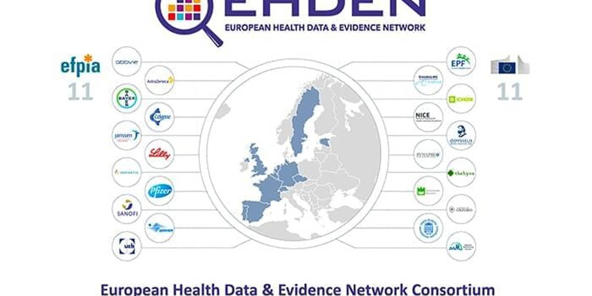 Microsoft PowerPoint - EHDEN_v3