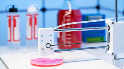 3D-bioprinting met longcellen voor onderzoek in extreme omgevingen