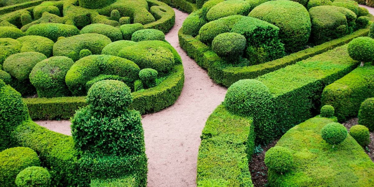 Walhalla of doolhof? Toegang tot patiëntgegevens voor onderzoek of kwaliteit