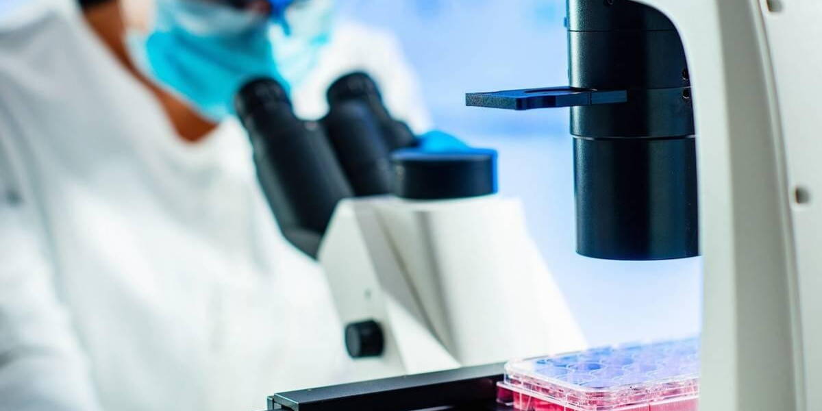 Onderzoek-Microscoop