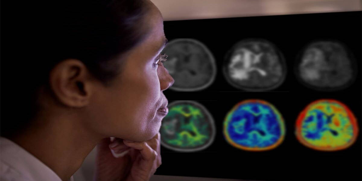 smart-quant-3d-neuro