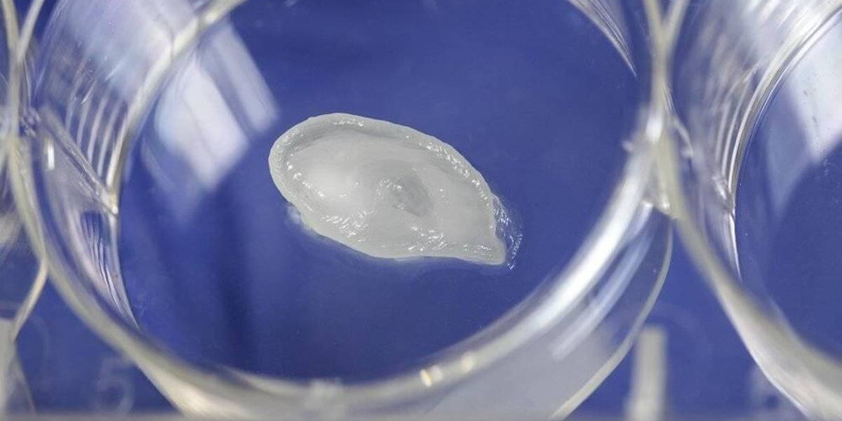 3D-Printing-Oor