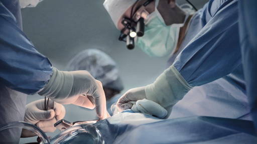 Oplosbare stent bij Zuyderland en studie naar gebruik ervan in ASZ