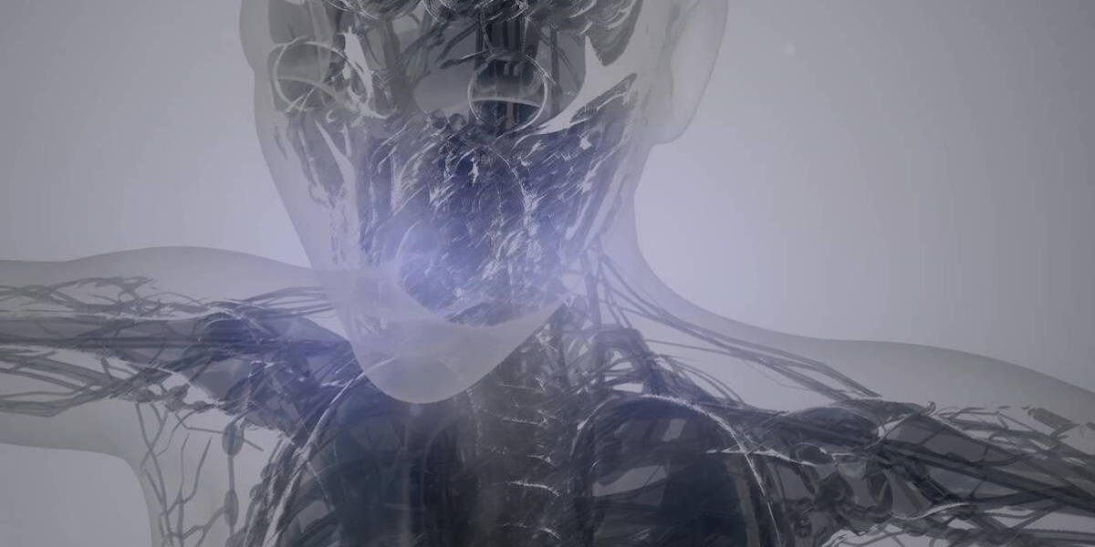 Magnetic-Resonance-Image