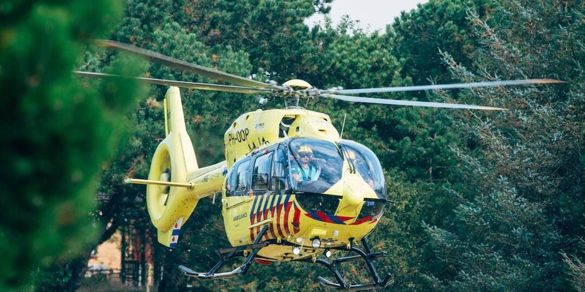 Voor bottom-up-ideeën moet je van olifantenpaadjes hoofdwegen maken