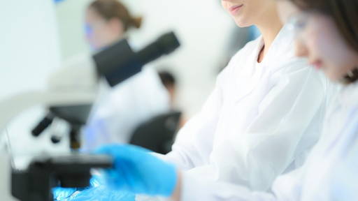 Neural connections visible in 3D with new microscopy technique