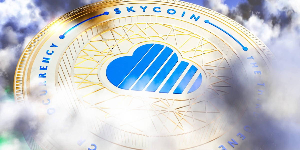 SkyCoin_edited-scaled