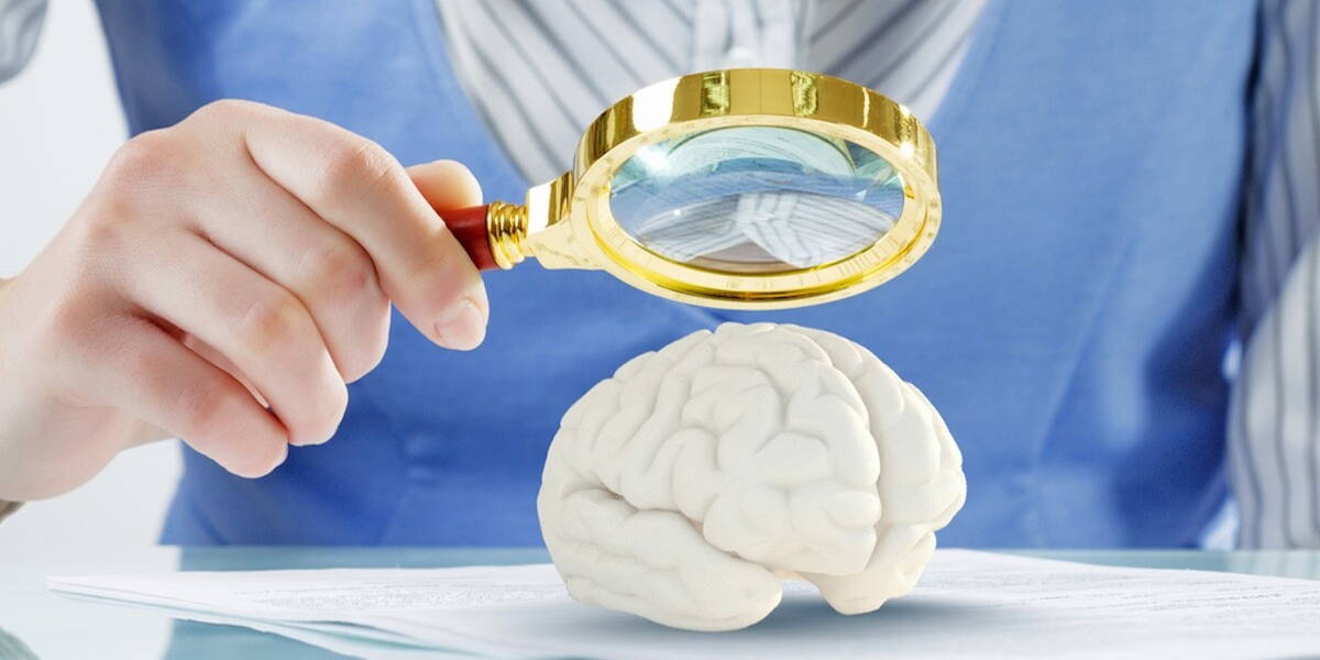 Brain research and education concept