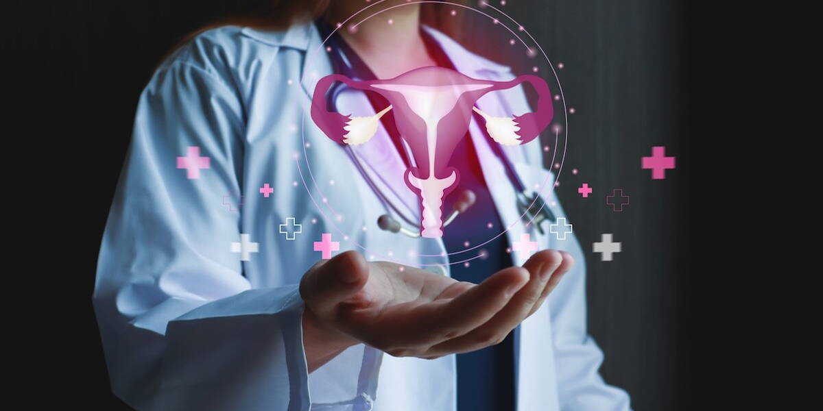 Arts toont 3-d digitaal model eierstokken