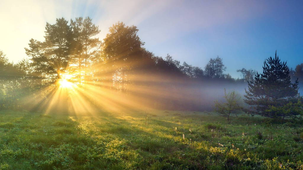 Heropstarten na de corona-reset