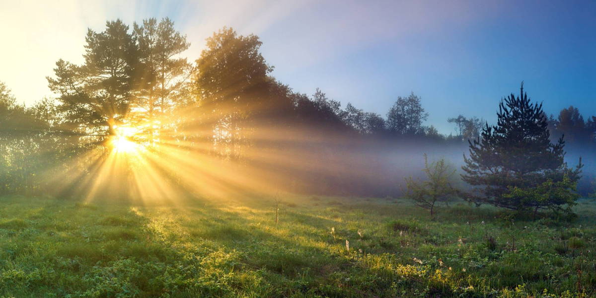 Heropstarten na de corona-reset