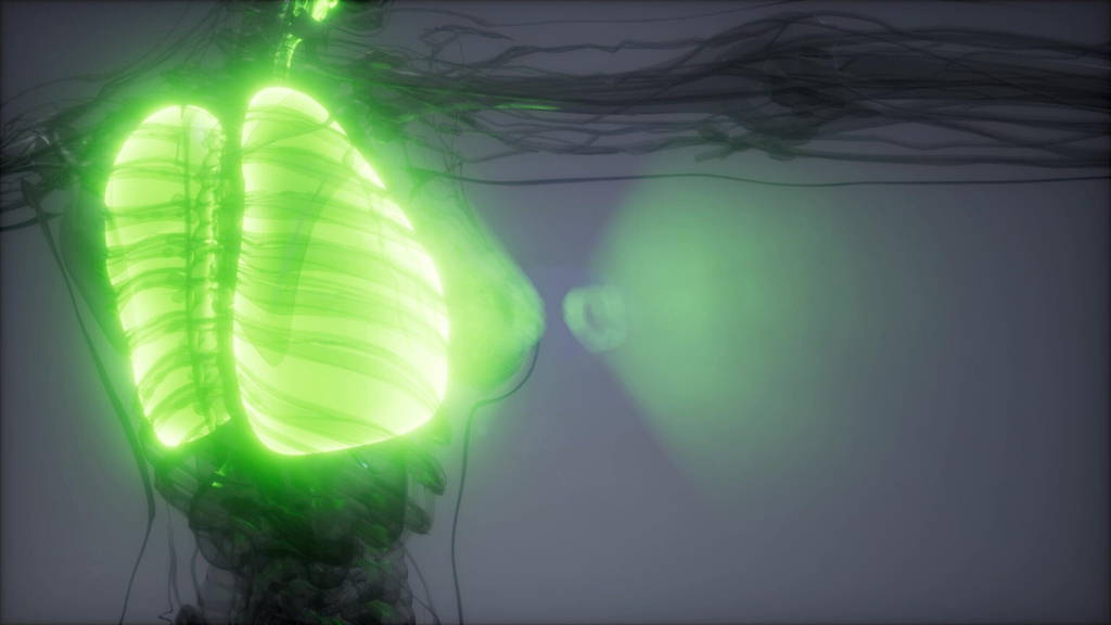 Human Lungs Radiology Exam