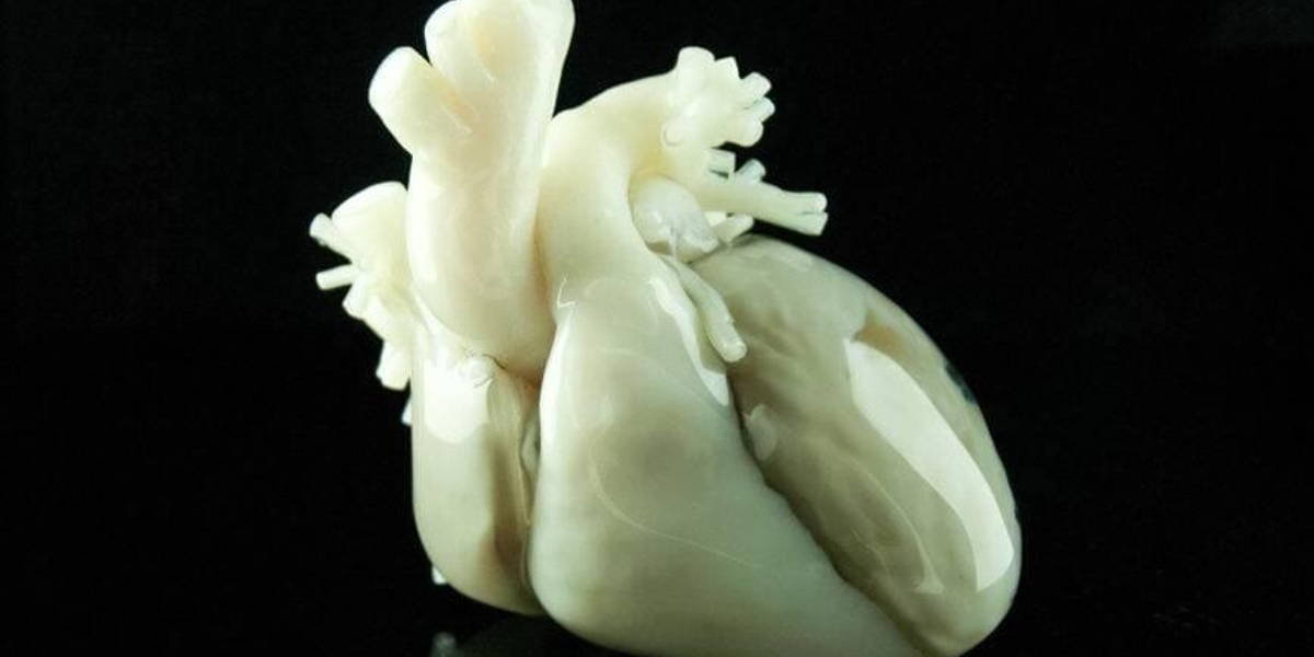 ICTH-Medisch-3D-pinting.2